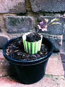 Processed with VSCOcam with c1 preset