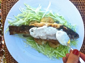 Processed with VSCOcam